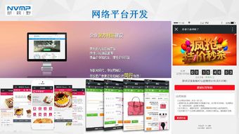 瓊海市互聯(lián)網(wǎng)協(xié)會會員風(fēng)采 海南新視野企業(yè)營銷策劃服務(wù)有限公司——深耕本土，智創(chuàng)未來